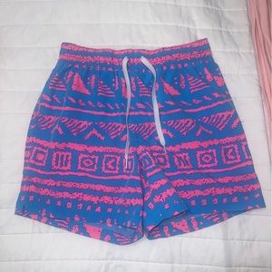 Chubbie 5.5’ Men Swim Shorts